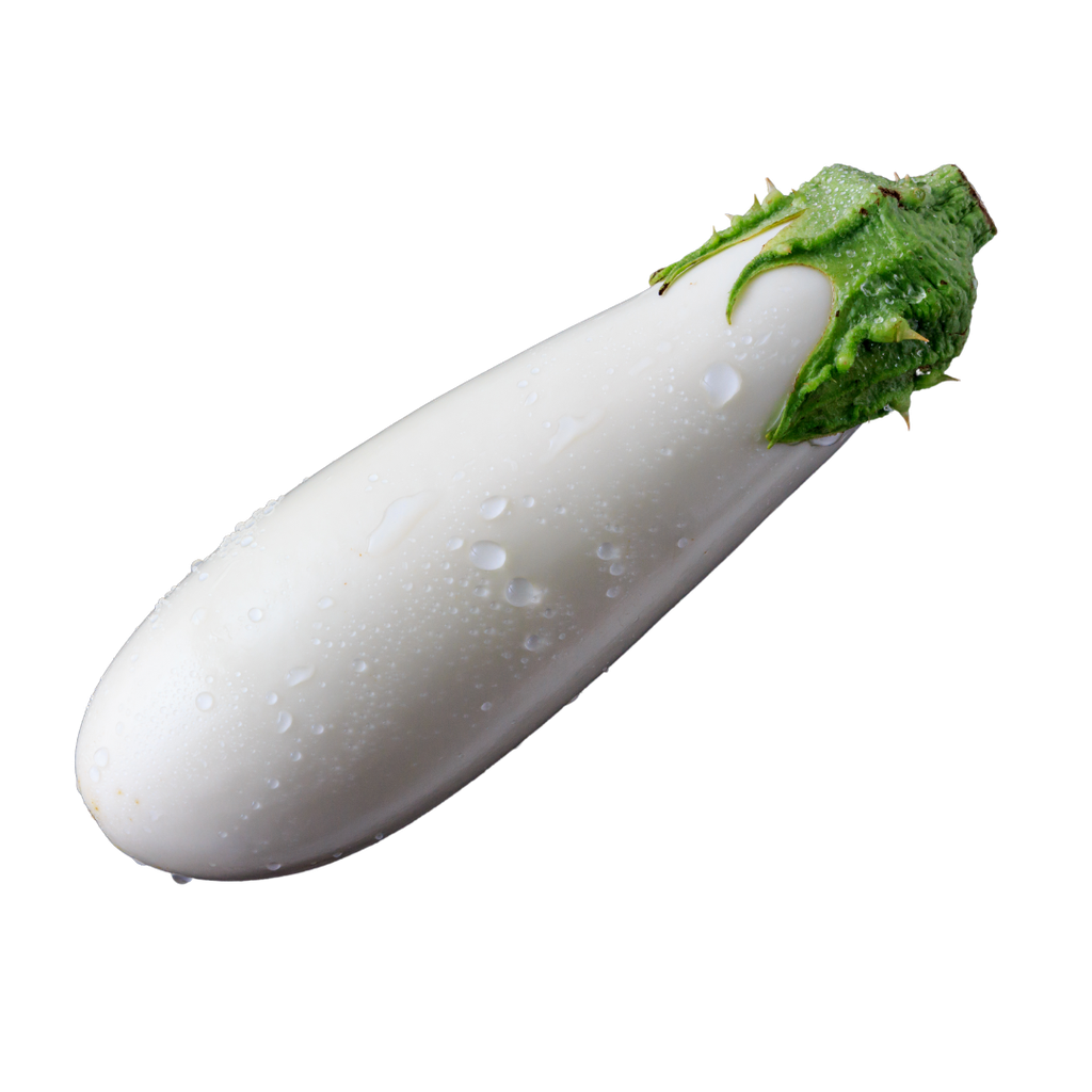 Alberginia Blanca ECO