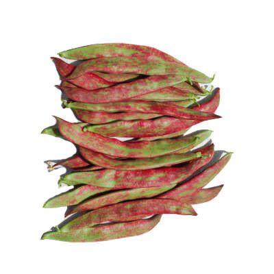Mongeta Vermella ECO