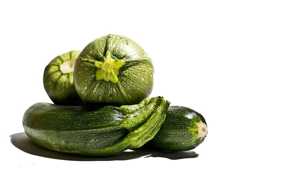 Carbassó ECO