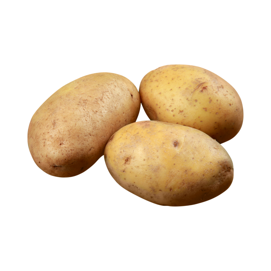 Patata Jaerla ECO