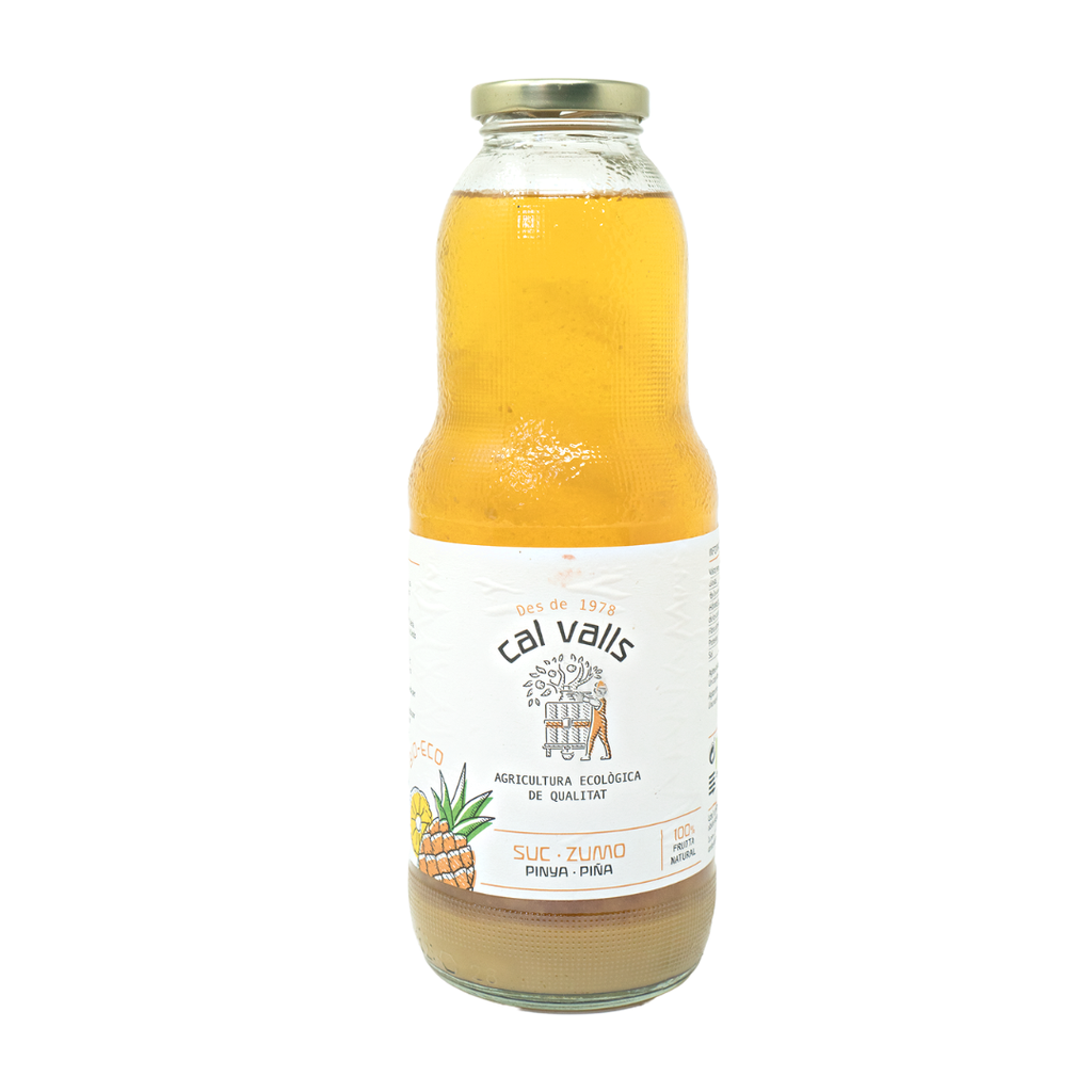 Suc Pinya 1L ECO