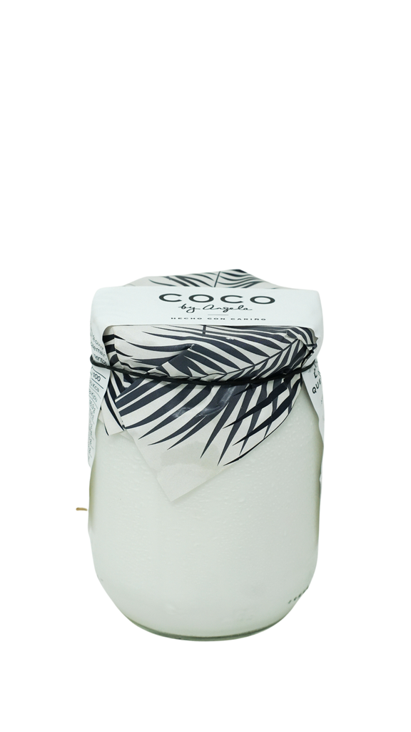 Kefir De Coco 500 Gr ECO