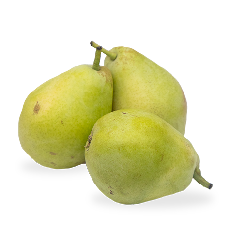 Pera Ercolina