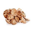 Shitake