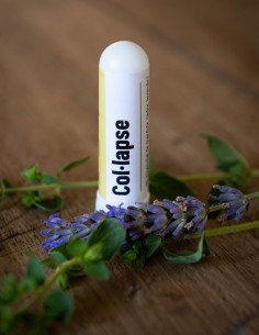 [BOT/04566] Inhalador Col-Lapse 50 Ml ECO