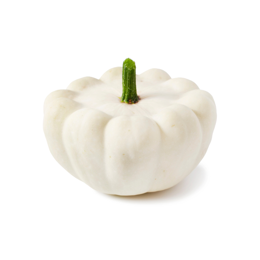 [04601] Patisson Blanc ECO