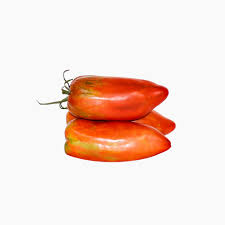 [04637] Tomàquet  Bitxo ECO