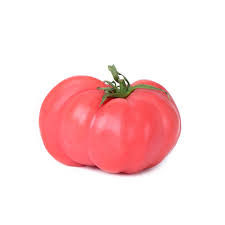 [01123] Tomàquet Rosa De Barbastro ECO