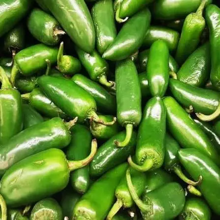 Jalapeño ECO 
