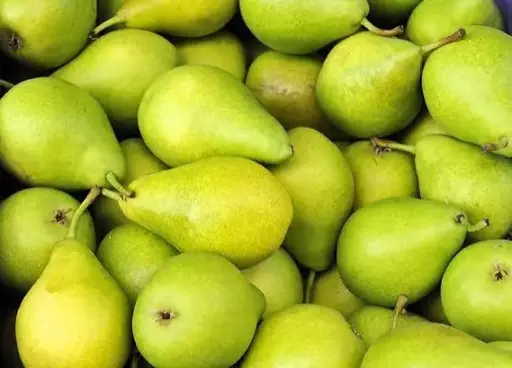 Pera Ercolina