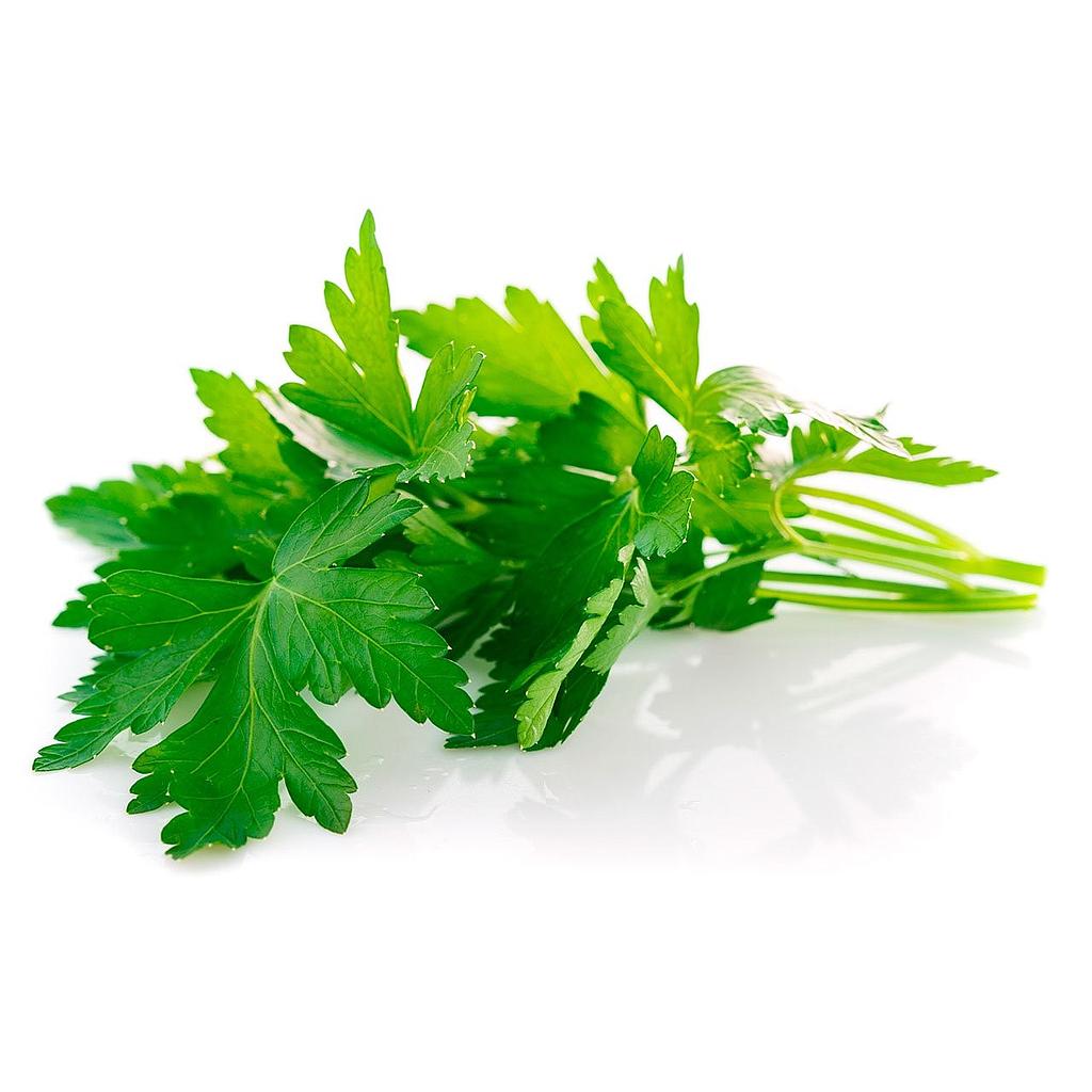 Julivert