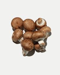 Xampinyò portobello